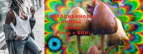 ГАЛЛЮЦИНОГЕННЫЕ ГРИБЫ Балабаново