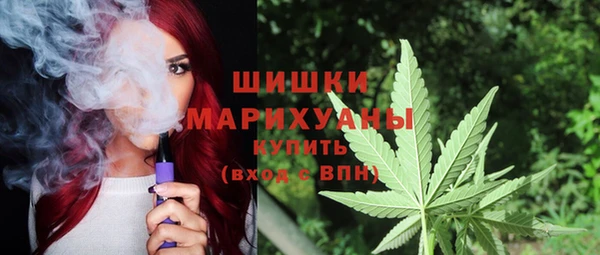 ГАЛЛЮЦИНОГЕННЫЕ ГРИБЫ Балабаново