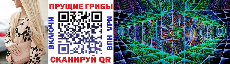 купить закладку Яхрома omg вход Галлюциногенные грибы прущие грибы